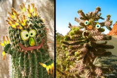 KViens_CactusMonsters1