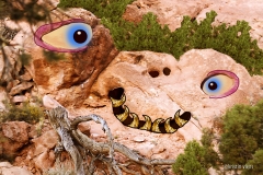 KViens_RockMonster3