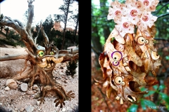 KViens_Tree-and-Leaf-Monsters