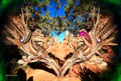 KViens_TreeMonsters1