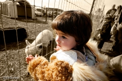 Sophia at the Farm