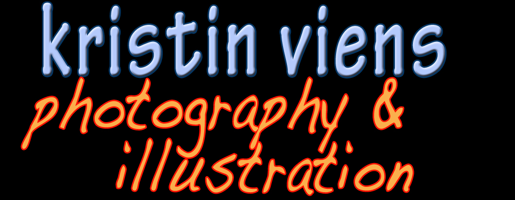 Kristin Viens Photography & Illustration